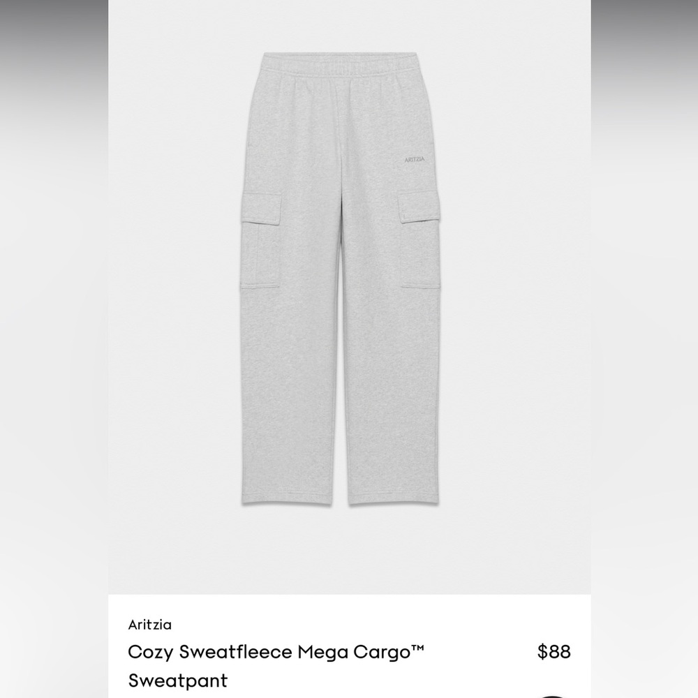 TNA Gray Cargo Pants